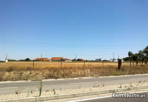 imagem_5
