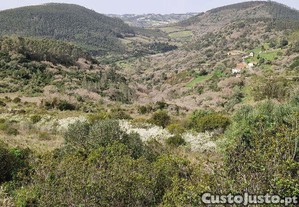 Terreno Agrícola em Mafra