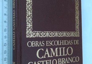 Amor de perdição - Camilo Castelo Branco