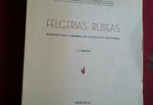 Eduardo De Freitas-Felgerias Rubeas-Felgueiras-1985