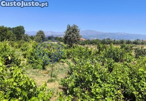 imagem_14