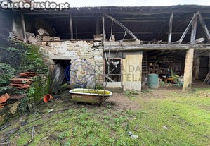 imagem_21