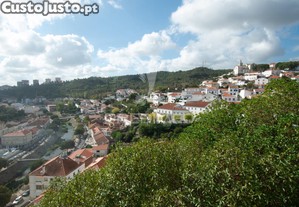 imagem_7