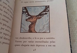 imagem_7