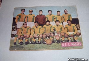 imagem_5