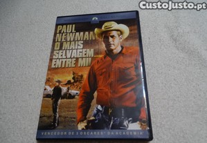 DVD-O mais selvagem entre mil-Paul Newman