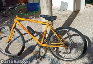 Bicicleta de montanha Alpin