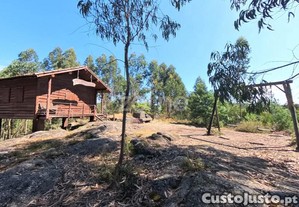 Terreno Florestal De 18600 M2 Com Vistas...