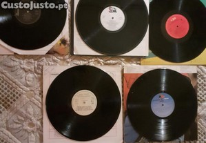 imagem_7
