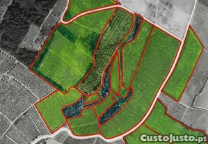 imagem_19
