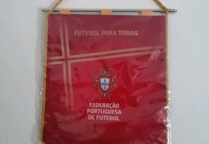 Galhardete da Federação Portuguesa de Futebol na participação do Fifa World Cup Brasil 2014