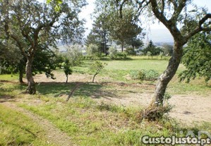 imagem_8