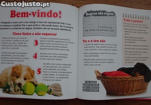 imagem_8