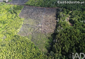 Terreno em Madalena de 20010,00 m²