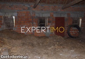imagem_10