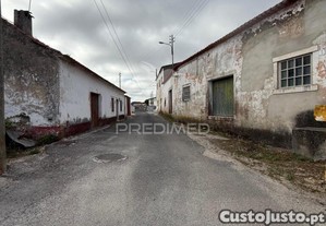 imagem_14