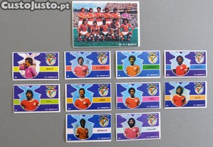imagem_3