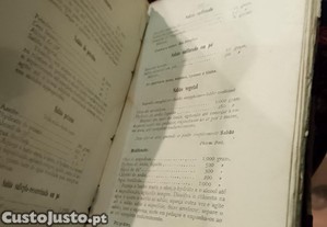 imagem_11