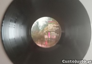 imagem_8