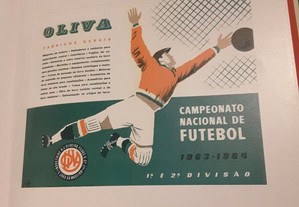 imagem_6