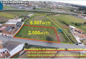 imagem_8