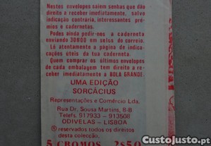 imagem_2