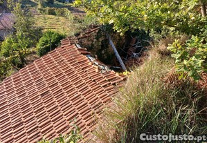 imagem_8