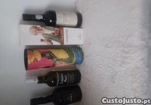 imagem_4