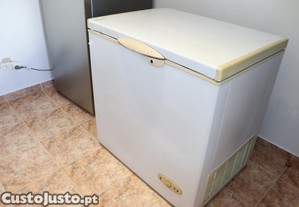 Arca Congeladora