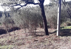 Terreno Agrícola em Monchique