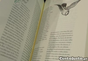 imagem_7