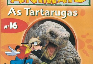 O Mundo Maravilhoso dos Animais - N.º 16: As Tartarugas [DVD]