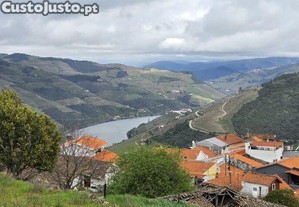 imagem_16