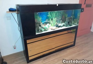 Aquario 300 litros