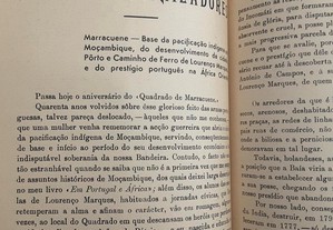 imagem_5