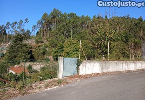imagem_10
