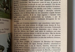 imagem_3
