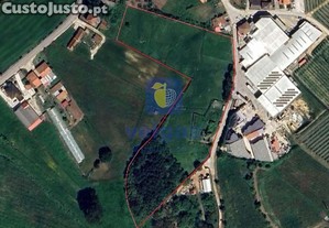 Terreno urbano com 15.867 m2 em Cela, Alcobaa, e runa de 336,30 m2