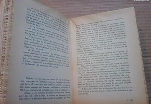 imagem_8