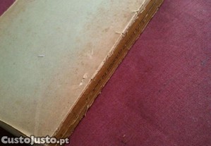 imagem_7
