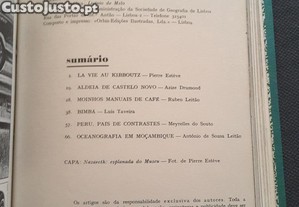 imagem_7