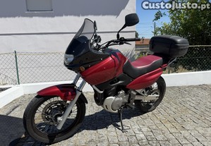 imagem_1
