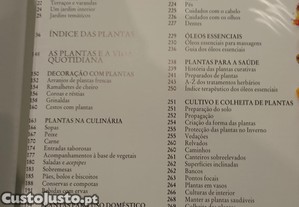 imagem_8