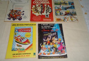 imagem_2