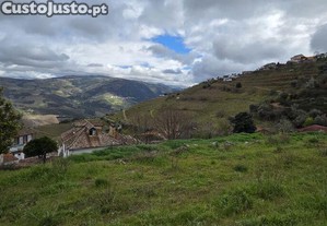 imagem_20