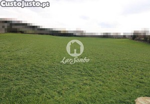 imagem_5