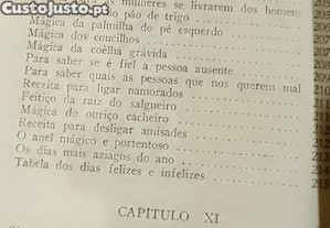 imagem_14