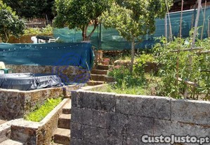 imagem_23