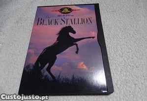 DVD-The Black Stallion/Francis Ford Coppola-Sem legendas PT