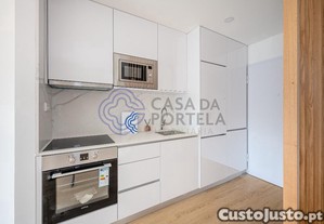imagem_15